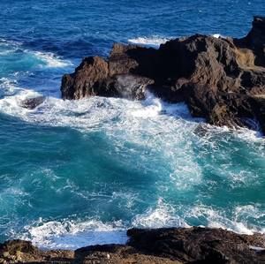 Meet your Posher, Robyn